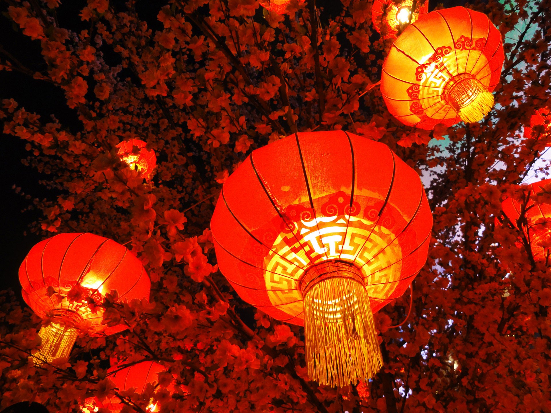 秦開電氣設(shè)備恭祝全國人民新年快樂！